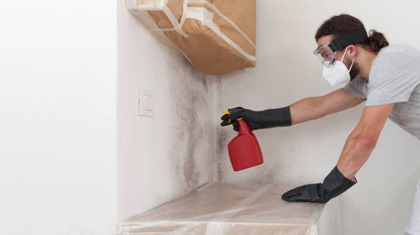 Professional Mold Remediation technician working in Chester, NJ