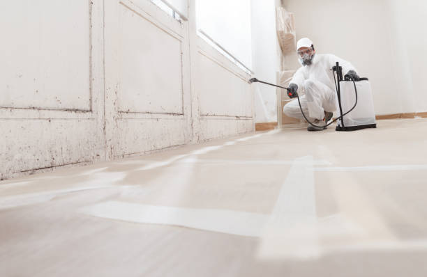 24/7 Emergency Mold Remediation experts in Chester, NJ