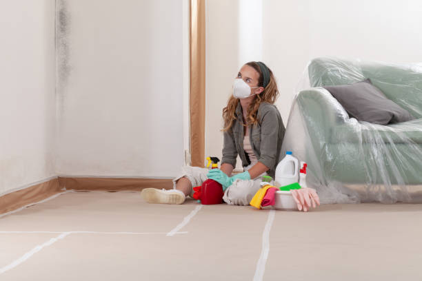 Reliable Mold Remediation contractor in Chester, NJ by WQB Mold Removal
